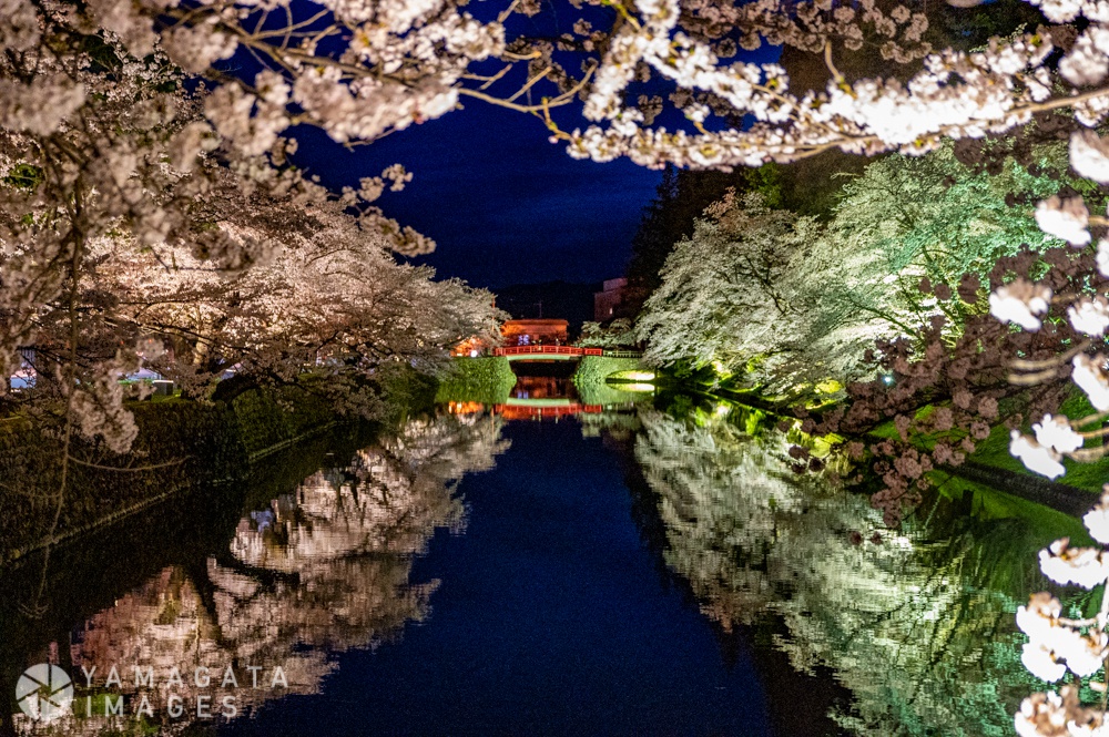 松が岬公園公園の桜 | 米沢市 | ヤマガタイメージズ - 山形を旅するように楽しむストックフォトサービス